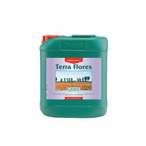 Terra Flores - Canna