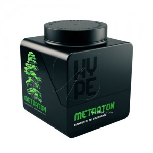 Metraton