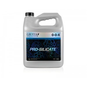Pro silicate 4 l Grotek