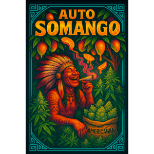 Auto Somango (2x1) - Americanna