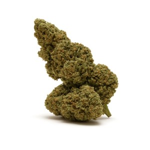 Super Lemon Haze CBD - La abuela Juana CBD