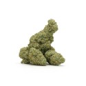 Orange CBD - La Abuela Juana CBD