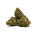 Bread Cookies Piatella - CBD Abuela Juana