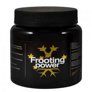 Frooting Power B.A.C. 325 g