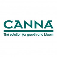 Canna